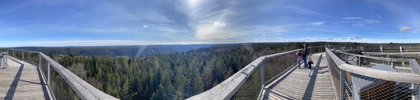 Betriebsausflug 2024 Panoramablick von dem Turm des Baumwipfelpfades