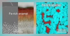 © adapted from ACS Nano