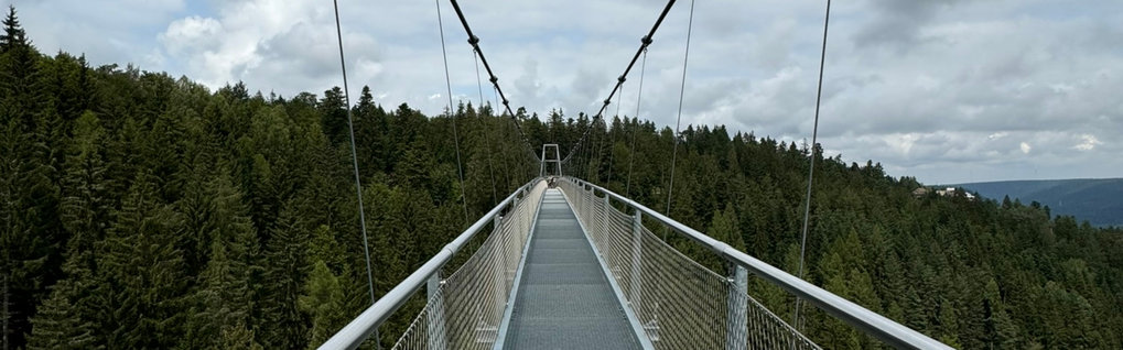 Hängebrücke Bad Wildbad