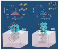 The inelastically scattered light signal of YVO3 is different when grown on different facets of YAlO3
