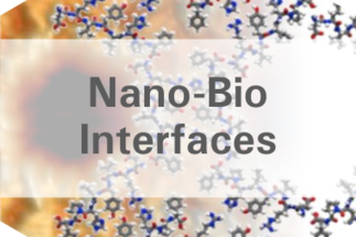 Nano-Bio Interfaces
