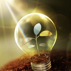 A small flower with metallic leaves growing out of a lightbulb.