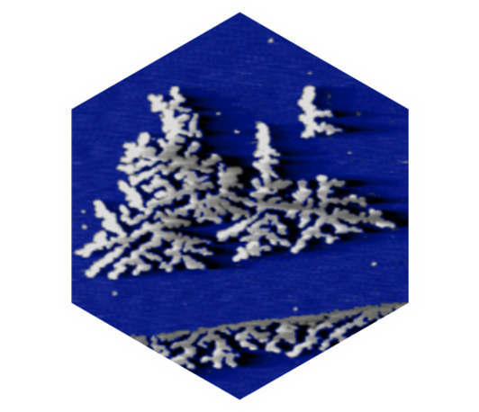Atomic scale investigation of metal halide perovskites and 2D materials